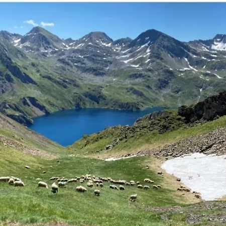 Des Oiseaux Апартаменты